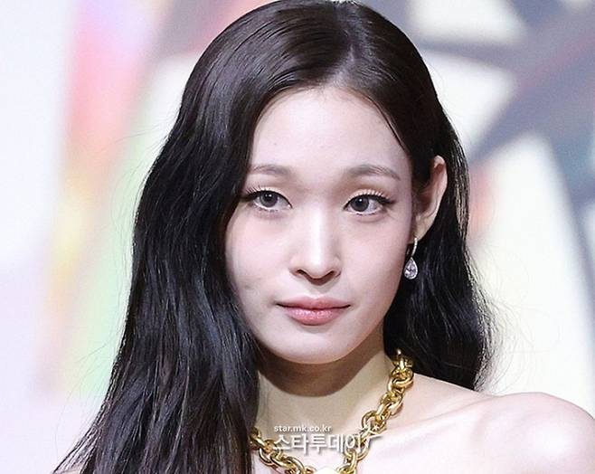 애니. 사진l스타투데이DB