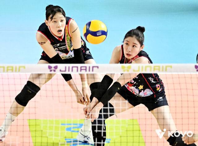 정관장 인쿠시./KOVO