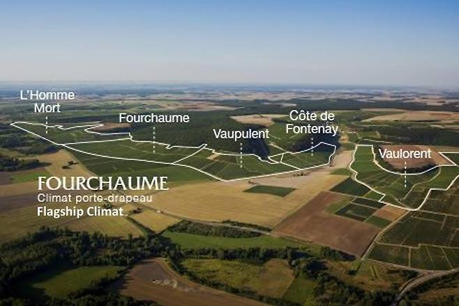 우안 대표 끌리마.&nbsp; 부르고뉴와인협회