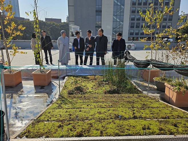 이끼의 옥상열 저감 및 탄소저감 효과 실증화 시스템 설치 현장