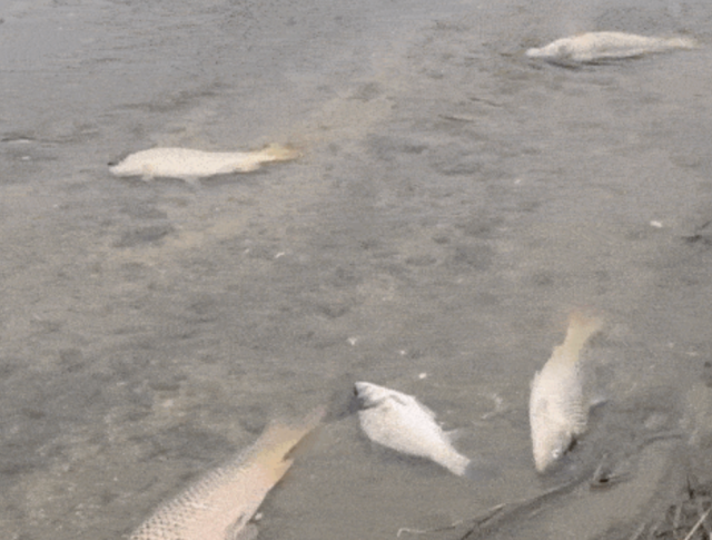 연합뉴스(독자제공)