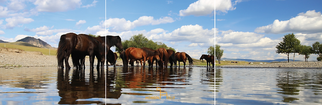 몽골올레 길이 이어지는 테를지 국립공원 인근 풍경. 길은 자연 속에 스며들어 있다. (몽골올레 SNS)