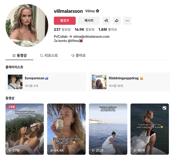 전업 여자친구를 하고 있다는 빌마 라르손씨의 틱톡 페이지.