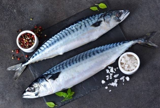 /사진=게티이미지뱅크