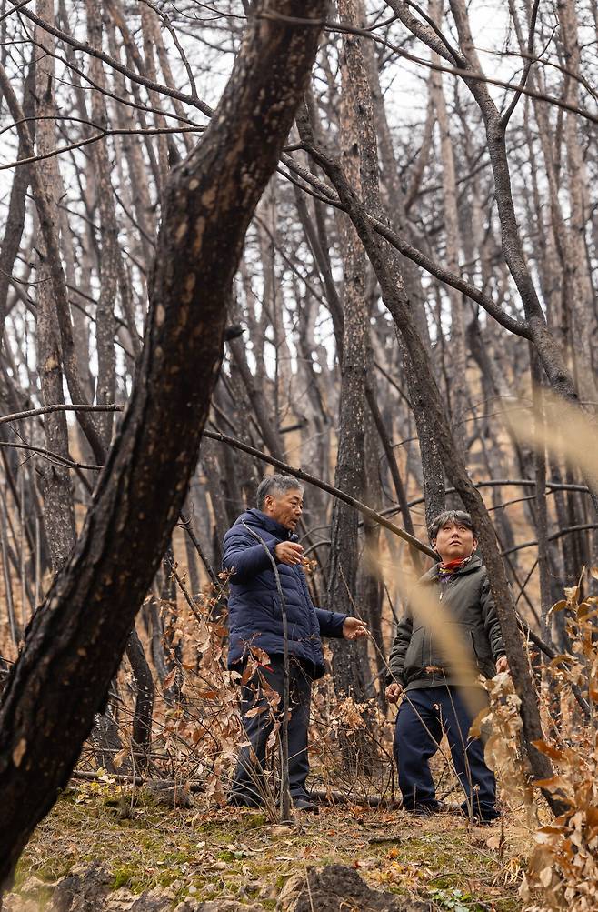 2025년 12월17일 경북 의성 산불 피해 주민 최기철씨(왼쪽)와 박기 사촌1리 이장이 불에 탄 나무를 둘러보고 있다. 의성(경북)=김진수 선임기자