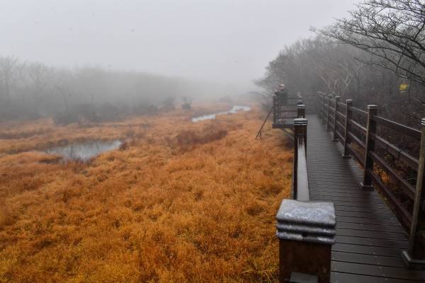 1100고지는 나무 데크로 산책로가 조성돼 걸으면서 한 바퀴 돌아볼 수 있다. (제주일보 자료사진)