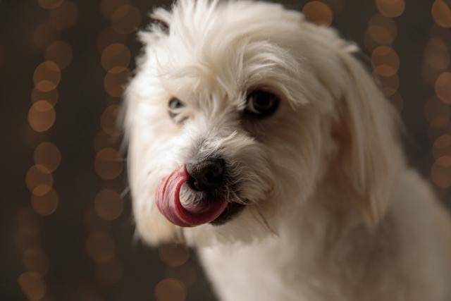 게티이미지뱅크