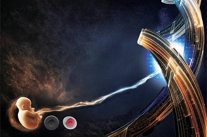 정자·난자를 수정한 배아 촬영 현미경 이미지(왼쪽)와 3차원 분석 사진. 펨테크(FemTech)를 기반으로 한 싱가포르 난임 클리닉인 젠프라임은 배아 구조와 발달 상태를 입체적으로 분석한 데이터를 바탕으로 인공지능(AI)이 직접 착상 가능성이 가장 높은 배아를 선별한다. 펨테크란 여성과 기술의 합성어로, AI 등 첨단 기술을 활용해 난임·임신·갱년기 등 여성 건강 문제를 해결하고 관리하는 제품·서비스를 말한다. 젠프라임