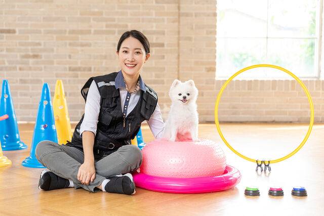 사진은 기사의 특정 사실과 관련 없음. 클립아트코리아