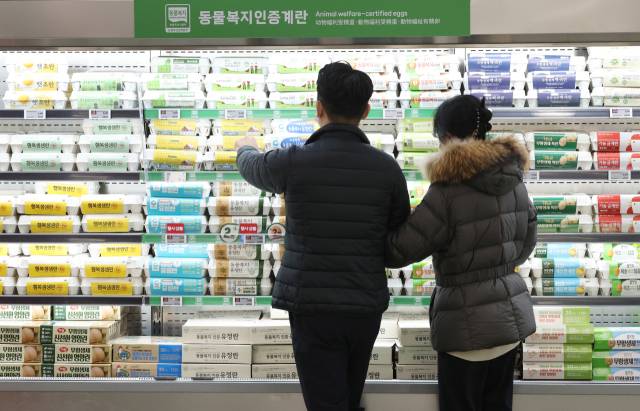 먹거리 물가가 고공행진하는 상황에서 매일 밥상에 오르는 계란 가격이 최근 다시 강세다. 축산물품질평가원 축산유통정보에 따르면 계란 특란 한 판 평균 소비자가격은 지난주부터 7천원을 넘었다. 계란 소비자가격은 지난달 이후 6천원대를 기록하다 한 달여 만에 다시 7천원대로 올라섰다. 사진은 이날 서울 한 대형마트 계란 판매대 모습. 연합뉴스