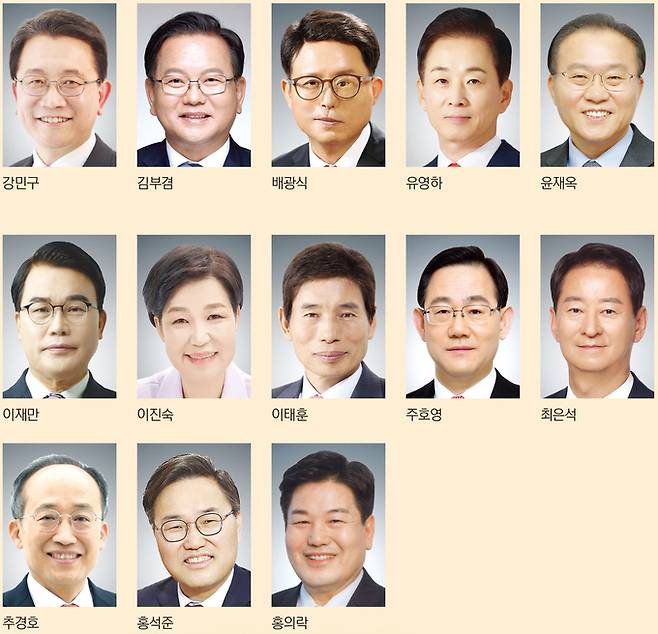 ▲ 대구시장 하마평