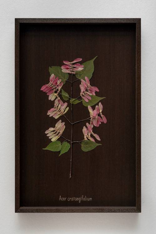 '우리가 처음 만났을 때'(부분)  이치카와 야스시