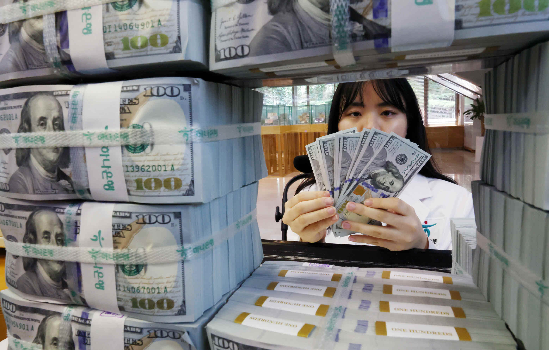 서울 중구 하나은행 위변조센터에서 직원이 미국 달러를 정리하는 모습. [연합]