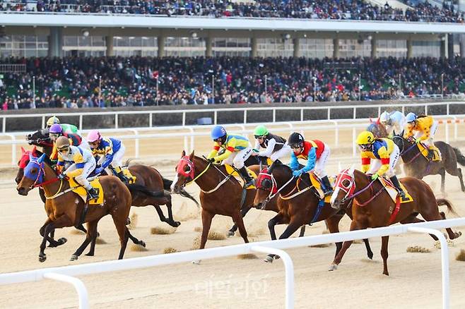 렛츠런파크 서울 경주 장면. ⓒ한국마사회