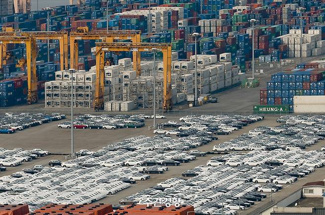 경기 평택항에 선적을 앞둔 수출용 자동차와 컨테이너 화물이 줄지어 있다. 문재원 기자
