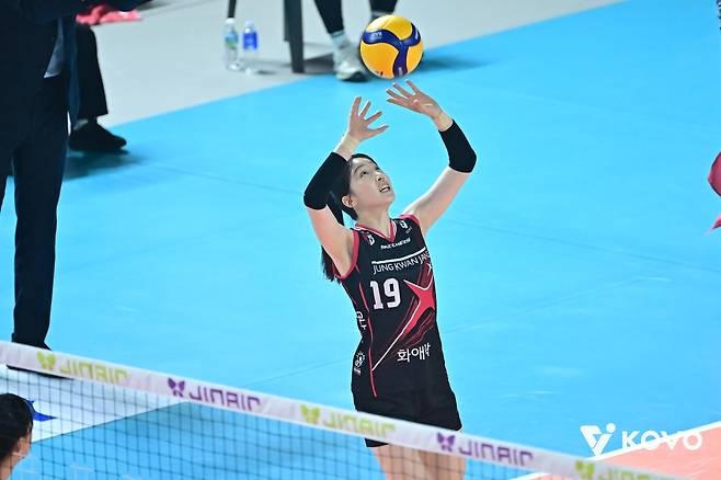 토스하는 정관장의 최서현 [한국배구연맹 제공. 재판매 및 DB 금지]