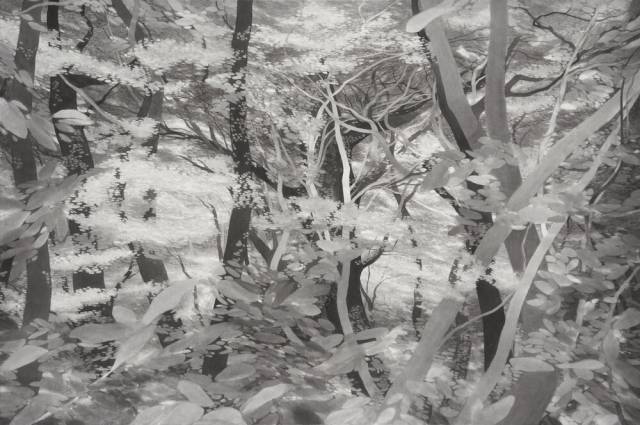 권소영, 얽힘의 흐름 Entangled Flow, 2025. 오브제후드 갤러리 제공