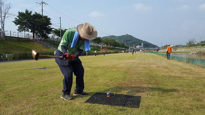 충남 청양군 청양읍 백세건강공원에서 파크 골프를 즐기고 있는 모습. 청양군 제공