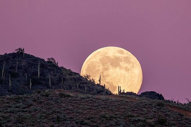 2025년 12월의 슈퍼문. EarthSky Community Photos | Kevin O’Donnell