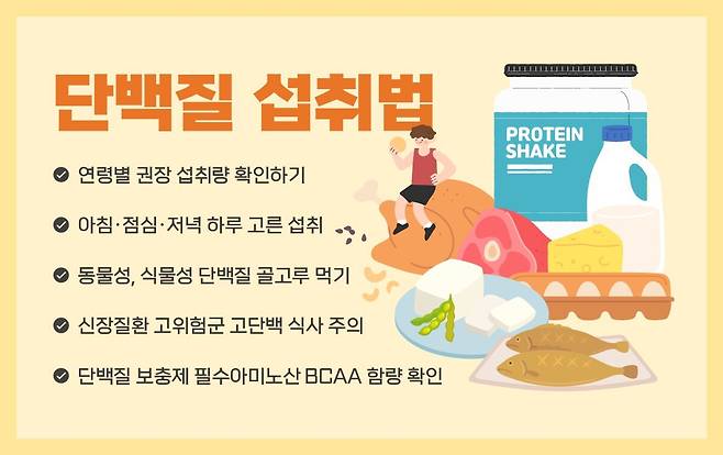 A variety of protein sources including meat, fish, eggs, beans, and dairy.