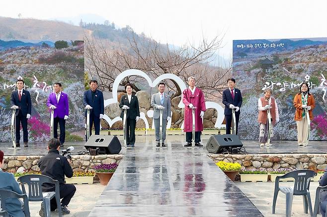 2025년 더딘 개화 속에 열린 광양매화축제 [광양시 제공. 재판매 및 DB 금지]