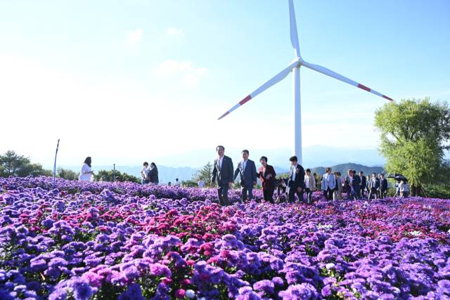 2025 거창군 감악산 꽃별여행축제 모습. 거창군 제공