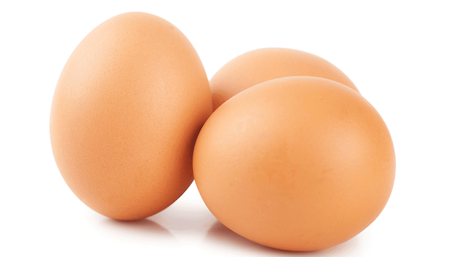 영양학적 균형을 고려한 달걀 대체 고단백 식품은?｜출처: 클립아트코리아