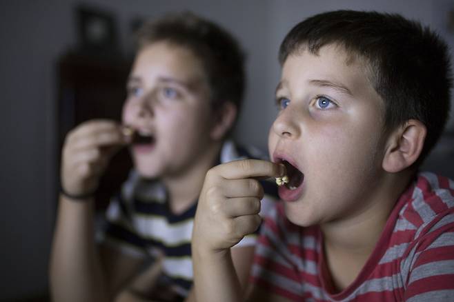 영국 정부는 1월 5일부터 지방·소금·설탕 함량이 높은 이른바 HFSS(High Fat, Salt, Sugar) 식품 및 음료의 광고를 오전 5시 30분부터 오후 9시까지 TV에서 전면 금지한다. 사진=게티이미지뱅크