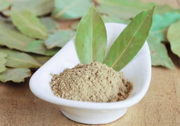 월계수 잎. [사진= Freepik]