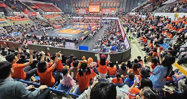 지난달 12일 부산 강서체육관에서 열린 OK저축은행 읏맨과 대한항공 점보스의 경기. 연합뉴스
