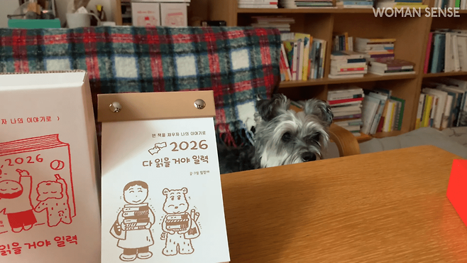임진아 페이퍼 유튜브 캡쳐 @imjina_paper