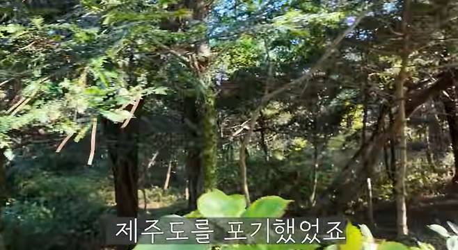 유튜브 채널 '박원숙채널'