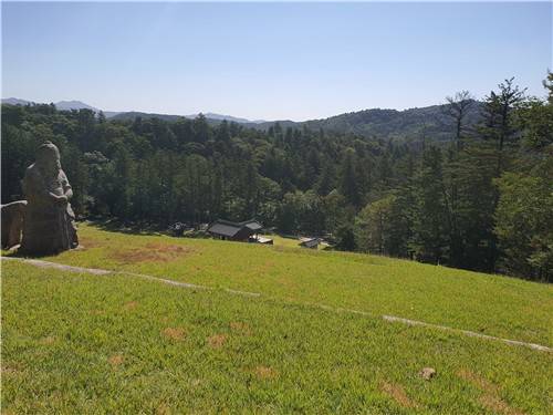 남양주 광릉 능침에서 숲을 바라본 풍경 [촬영 김정선] 2023.10