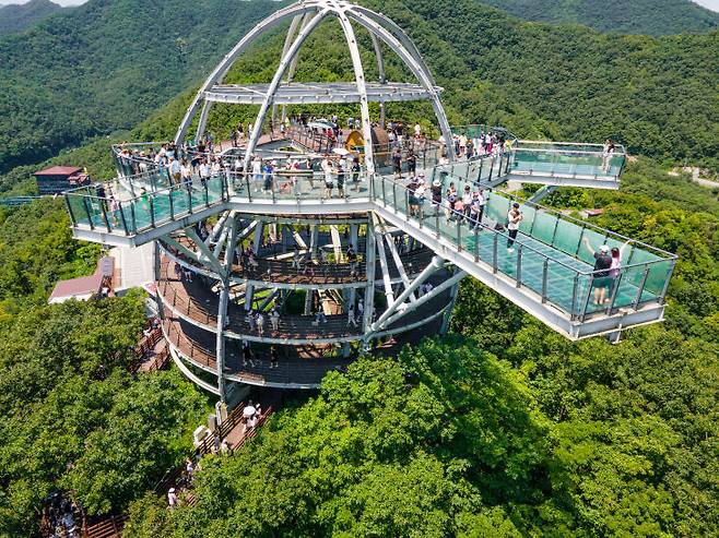 (만천하스카이워크)