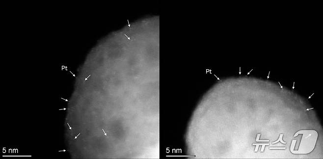 단일원자 백금(Pt) 입자의 전자현미경 사진(아주대 유성주 교수 제공) /뉴스1