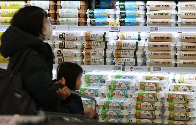 Eggs are on display at a supermarket in Seoul on Jan. 6. [NEWS1]