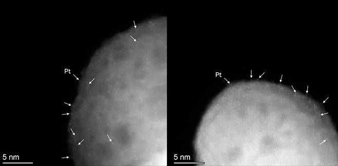 단일원자 백금 입자의 전자현미경 사진. 화살표로 표시된 밝은 대비점들은 지지체 표면에 하나씩 고르게 분산된 백금&nbsp; 원자들을 나타내며, 백금이 뭉치지 않고 안정적으로 분산된 상태임을 확인할 수 있다. 한국연구재단