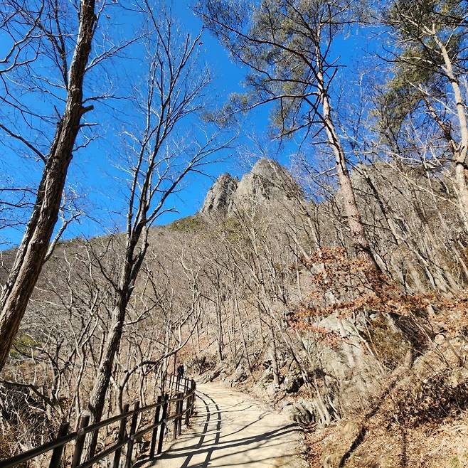 주왕산 주방계곡 계곡길