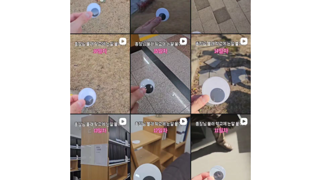 눈알 관련 SNS 계정 사진. = 인스타그램 캡처본