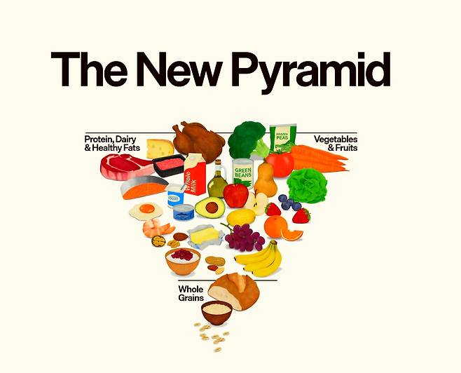 2026년 트럼프 정부가 발표한 미국인 식이 가이드라인 식품 피라미드./realfood.gov