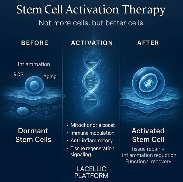 라셀릭코리아 제공