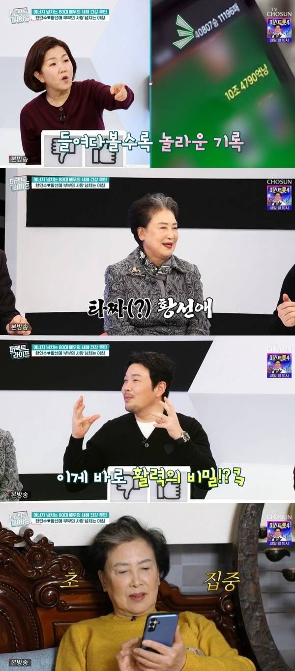 TV조선 ‘퍼펙트라이프’