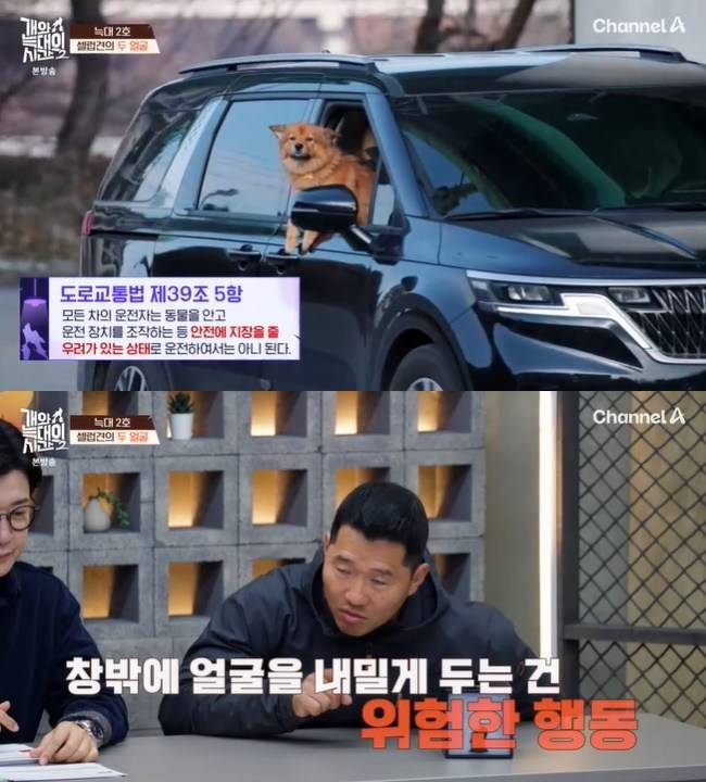 사진=채널A ‘개와 늑대의 시간 시즌2’ 캡처