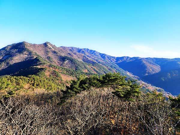 흰대미산에서 바라본 양각산과 수도산 능선.왼쪽 양각산에 소의 뿔 같은 2개의 봉우리.그 옆으로 시코봉과 수도산 능선이 조망된다.