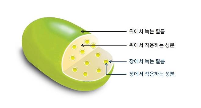 위와 장에서 단계적으로 작용하는 다층정 소화제|출처: 하이닥