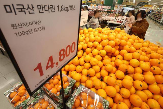 2024년 3월 22일 서울 시내의 한 대형마트에서 판매되고 있는 미국산 만다린. 뉴스1