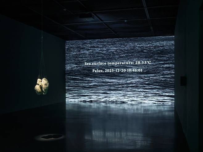 ‘최재은: 약속(Where Beings Be)’ 전시장 '경종' 공간 전경. © 홍철기