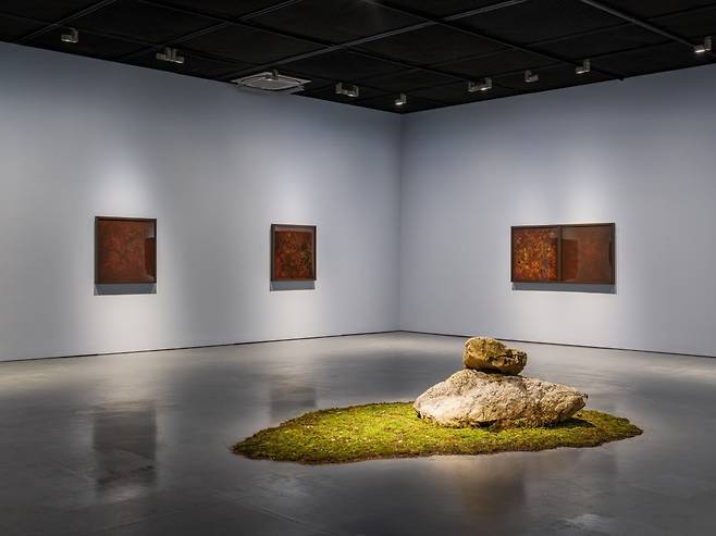 ‘최재은: 약속(Where Beings Be)’ 전시 '소우주' 공간 전경. © 홍철기