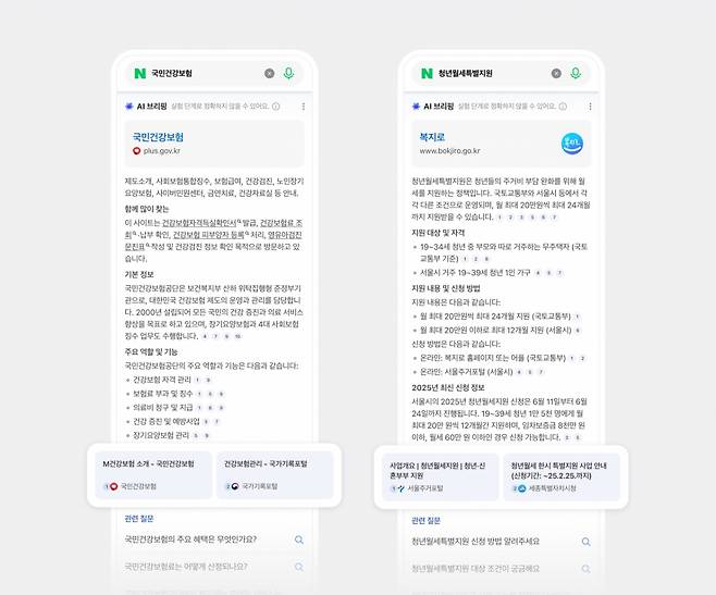 국민건강보험, 청년월세특별지원에 대한 AI 브리핑 검색 결과