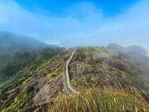 정상에서 이끼 숲으로 이어진 산길. 석우산은 화산 폭발로 생긴 산이며, 4A급 풍경구이자 지질공원으로 지정되었다.
